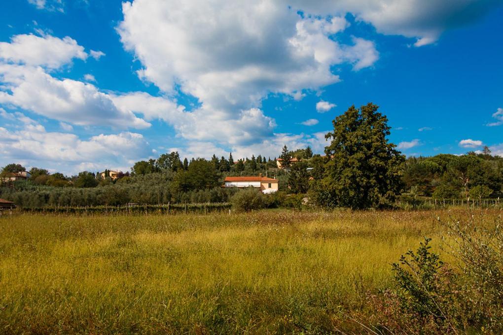 Bed and Breakfast Agriturismo Terre Di Leonardo Vinci Exteriér fotografie